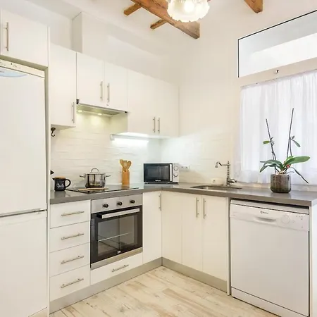 Ca S'avi Biel 度假居